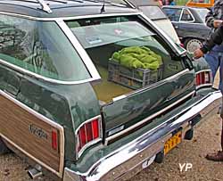 Chevrolet Caprice Classic Estate 74