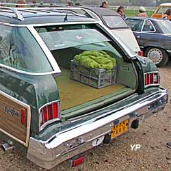 Chevrolet Caprice Classic Estate 74