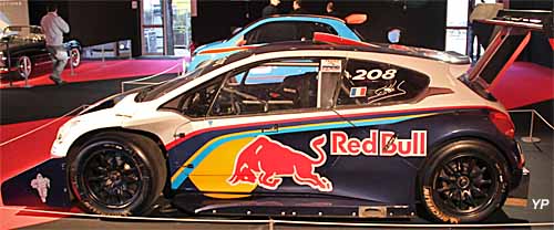 Peugeot 208 T16 Pikes Peak