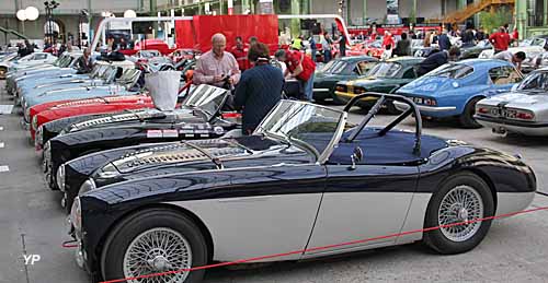 Tour Auto 2014 - une rangée d'Austin Healey devant une rangée de Lotus (doc. Yalta Production)