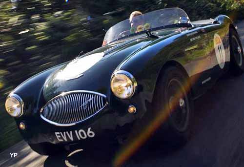 1955 Austin-Healey 100S Sports Racing Two-Seater (doc. Bonhams)