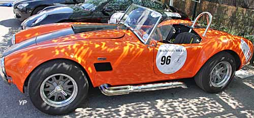 AC Cobra Shamrock