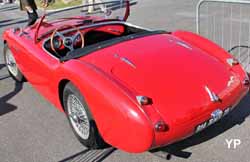 Austin-Healey 100