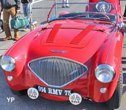 Austin-Healey 100