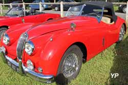 Jaguar XK 140 OTS