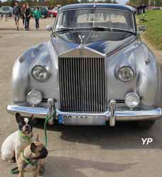 Rolls-Royce Silver Cloud