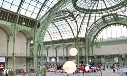 Grand Palais