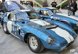 Shelby Cobra Daytona Coupé