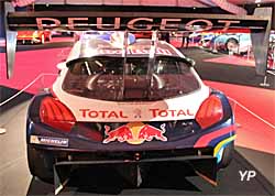 Peugeot 208 T16 Pikes Peak