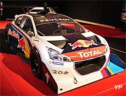 Peugeot 208 T16 Pikes Peak