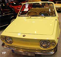 Fiat 850 Shellette 