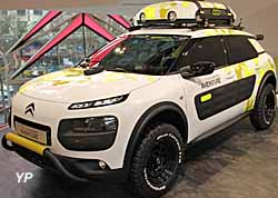 Citroën C4 Cactus Aventure