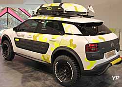 Citroën C4 Cactus Aventure