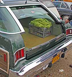 Chevrolet Caprice Classic Estate 74