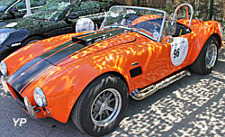 AC Cobra Shamrock