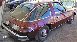 AMC Pacer Sedan D/L