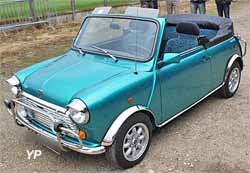 Rover Mini
