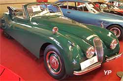 Jaguar XK 120