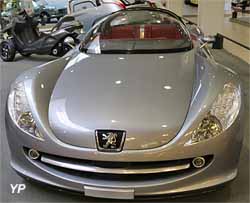 Peugeot concept-car 607 Féline