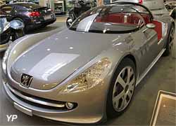 Peugeot concept-car 607 Féline