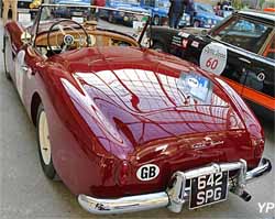 Nash Healey roadster