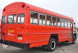 International Harvester Loadstar 1653 School Bus