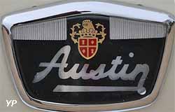 Austin Mini