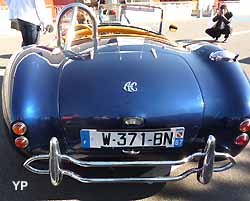 AC Cobra Mk VI