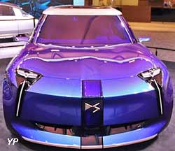 DS 3Fever