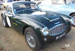 Austin-Healey 100