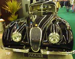 Jaguar XK 120